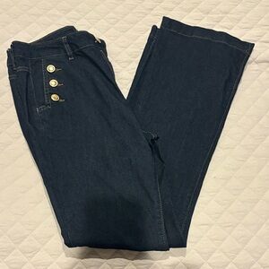 RACHEL ZOE FLARED BLUE JEANS